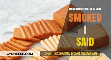 Smoked Cheese Guide: Top Varieties Perfect for Smoking Enthusiasts