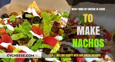 Best Cheeses for Nachos: Top Melty, Flavorful Picks to Try