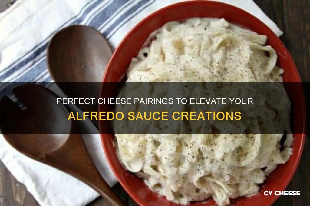 what kind of cheese is good with alfredo sauce