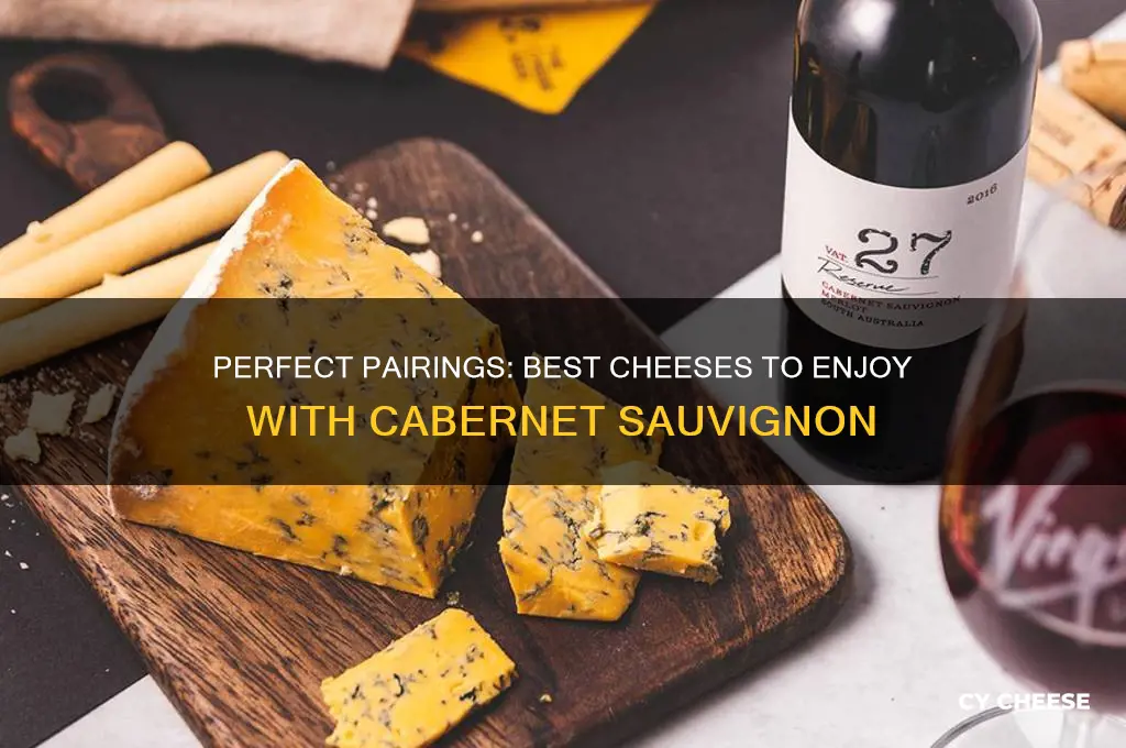 what kind of cheese is good with cabernet sauvignon