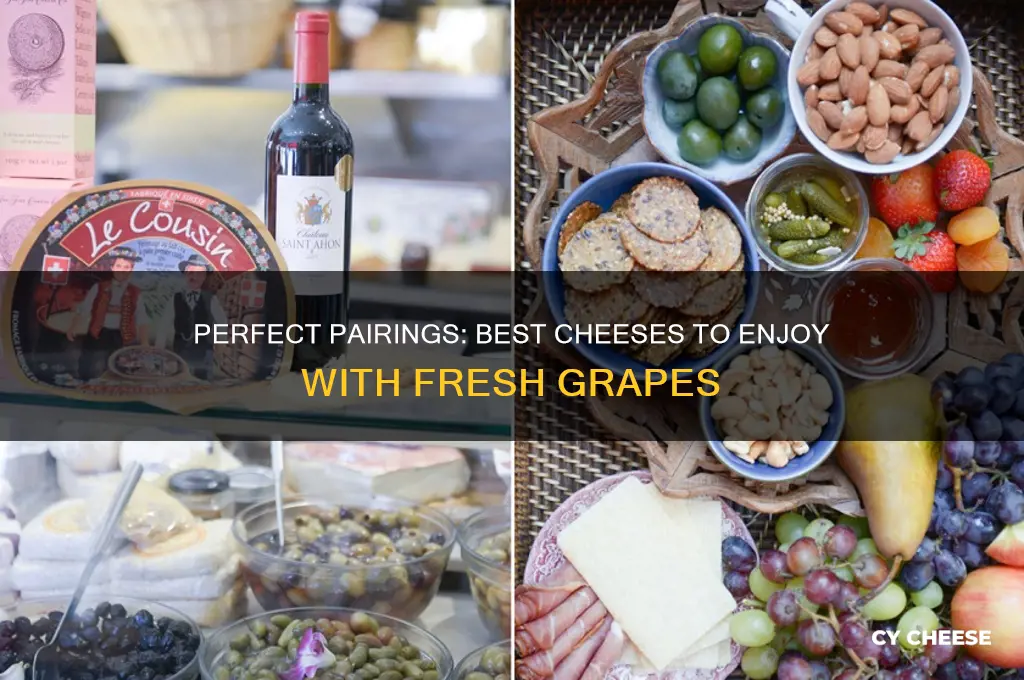 what kind of cheese is good with grapes