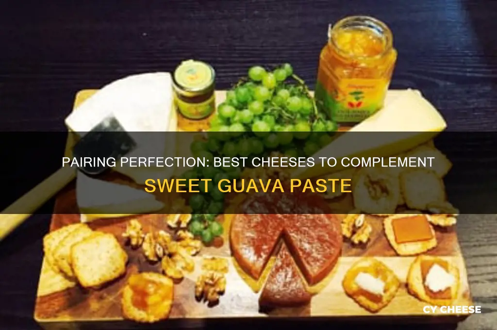 what kind of cheese is good with guava paste