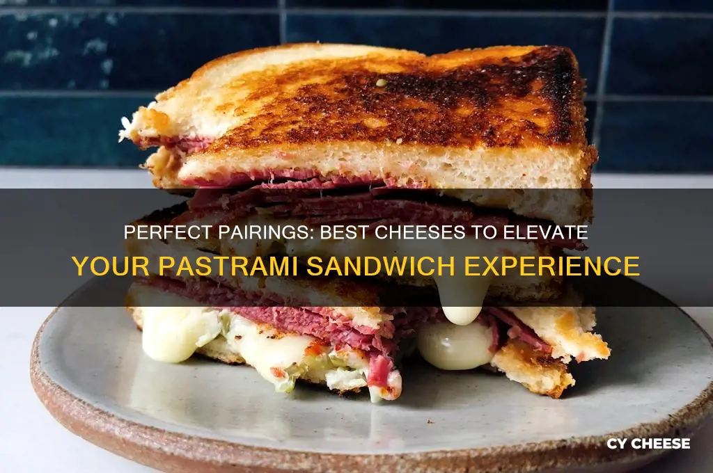 what kind of cheese is good with pastrami