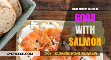 Perfect Pairings: Best Cheeses to Complement Your Salmon Dishes