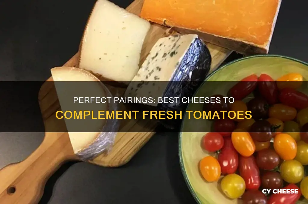what kind of cheese is good with tomatoes