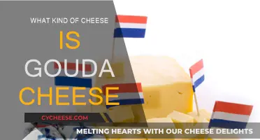 The History and Making of Gouda Cheese