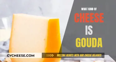 The History and Making of Gouda Cheese