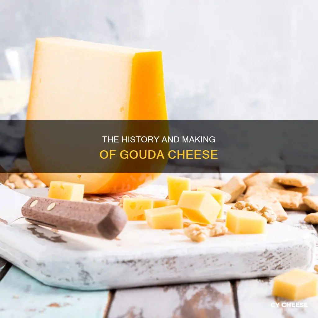 what kind of cheese is gouda