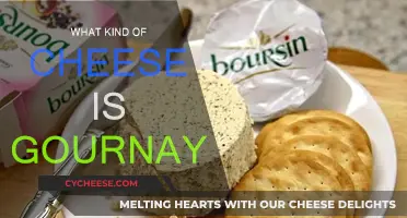 Gournay Cheese: A French Delight Explained