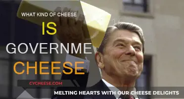 Government Cheese: Understanding Its Unique, Standardized Flavor