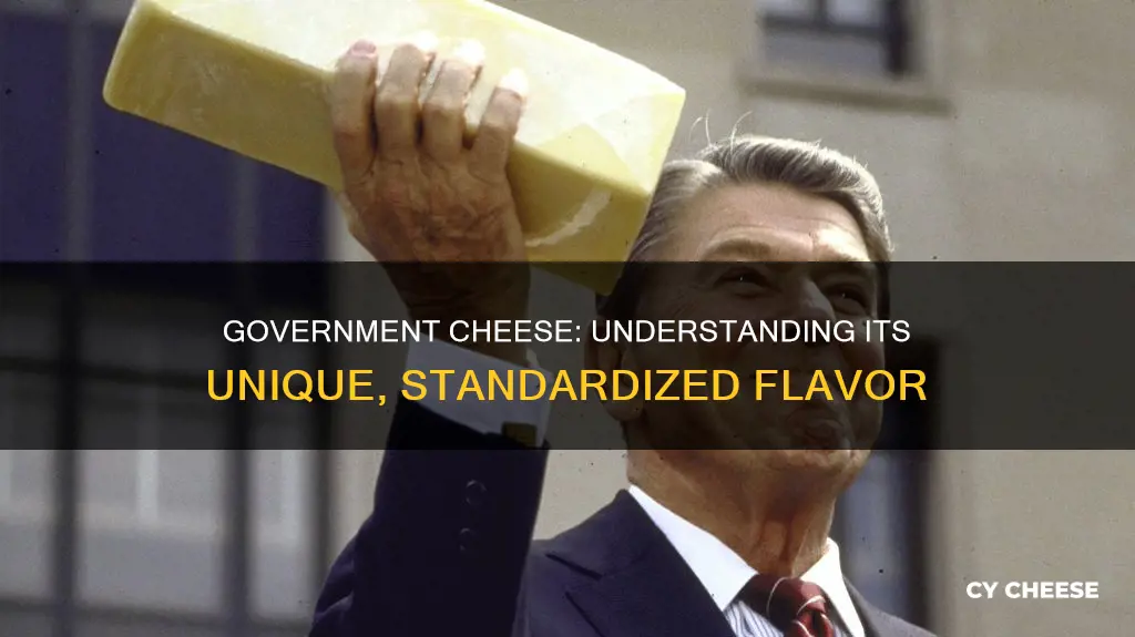 what kind of cheese is government cheese