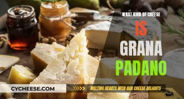 The History and Making of Grana Padano Cheese