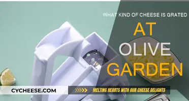 The Grated Cheese of Olive Garden: Unveiling the Secret