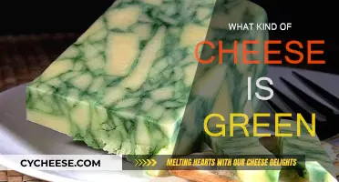 Green Cheese: Exploring the World's Cheesiest Delights