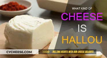 Halloumi Cheese: Its Unique Texture and Cypriot Origins