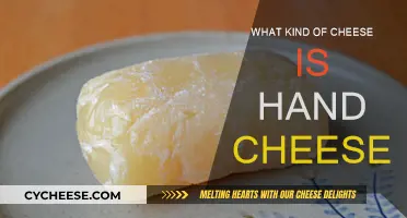 Hand Cheese: A Unique, Soft, and Stretchy Cheese Delicacy