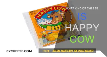 Happy Cow Cheese: A Guide to This Delicious Dairy