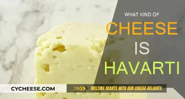 The Creamy, Buttery Taste of Havarti Cheese