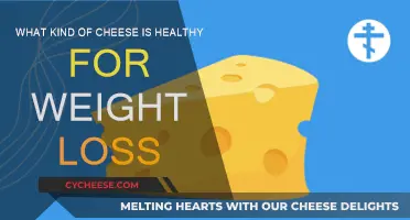 Cheese for Weight Loss: Healthy Options to Consider