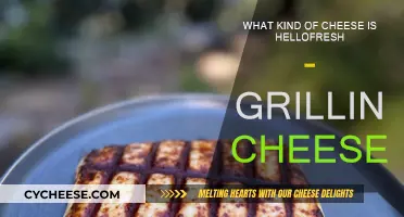 HelloFresh's Grilling Cheese: What's the Deal?