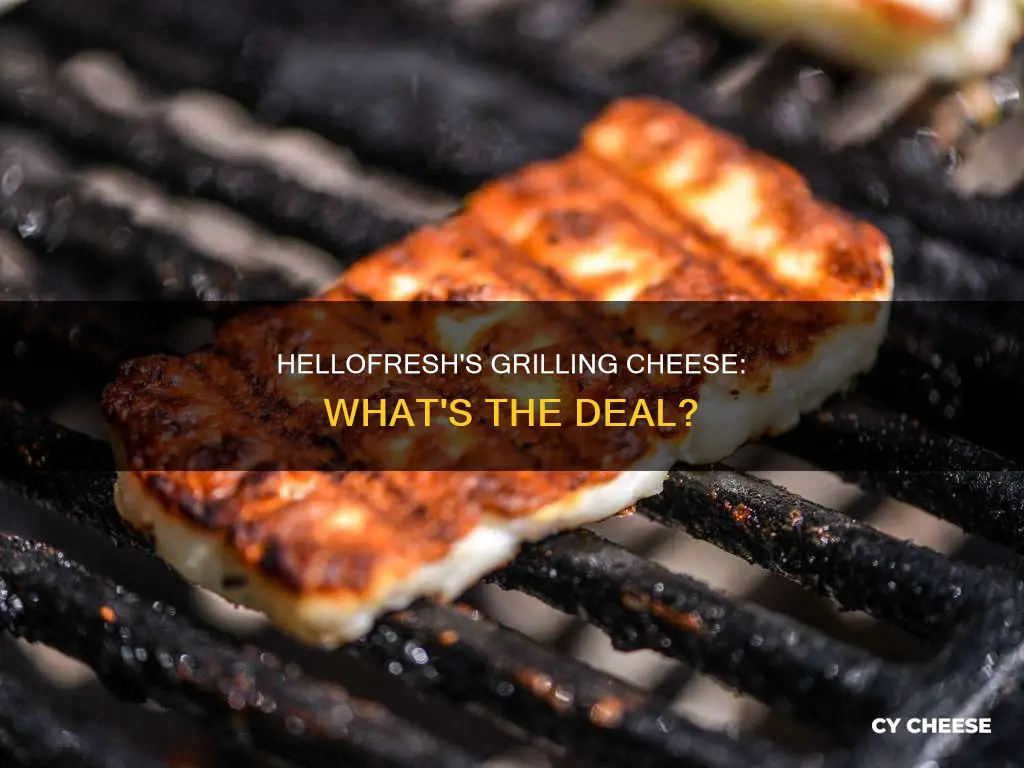 what kind of cheese is hellofresh - grilling cheese