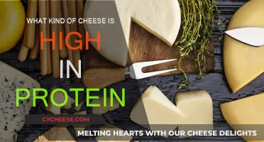 Best Cheeses for Protein: High-Protein Options