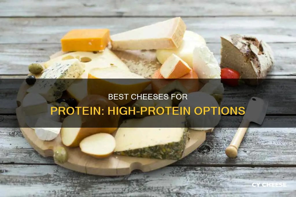 what kind of cheese is high in protein