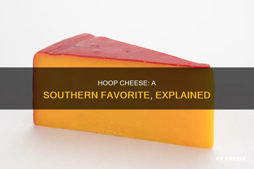 what kind of cheese is hoop cheese