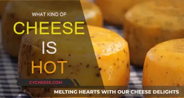 Cheese Aficionados: What Are the Spiciest Cheeses?