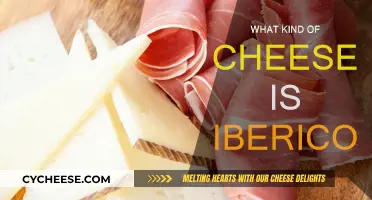 The Unique Cheese of Iberico: A Tasty Mystery Explained