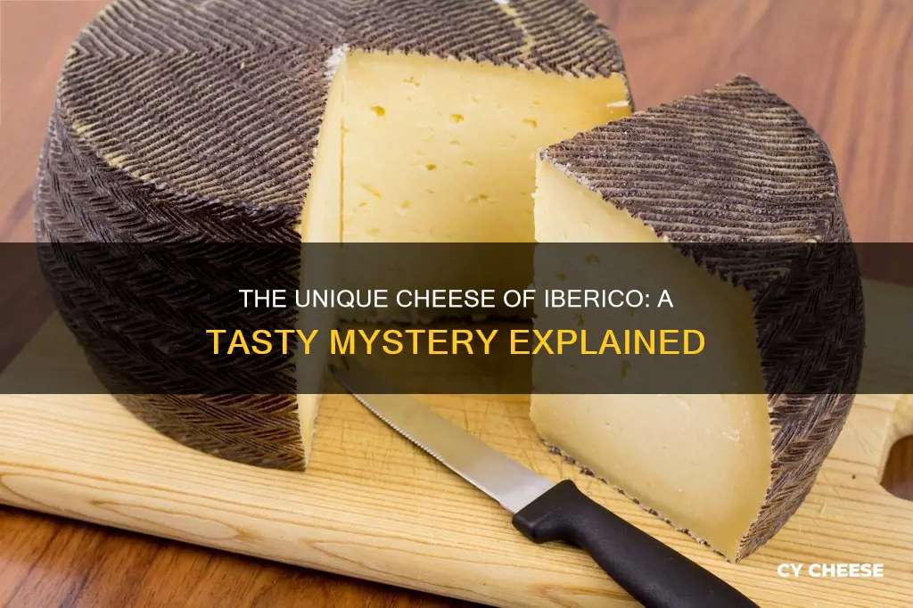 what kind of cheese is iberico