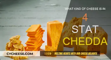 The Mystery of Cheddar: Four-Star Cheese Explored