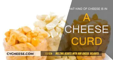 Cheese Curds: Understanding the Magic Behind This Snack