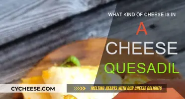 Cheese Quesadilla: What's the Perfect Cheese?