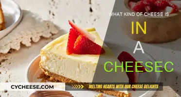 Cheese in Cheesecake: The Main Ingredient You Need to Know