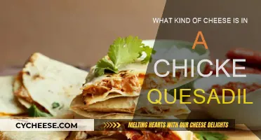 Chicken Quesadilla: What Cheeses Melt the Best?