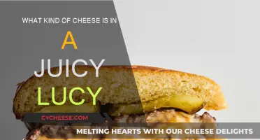 Juicy Lucy: What's the Cheesy Secret?