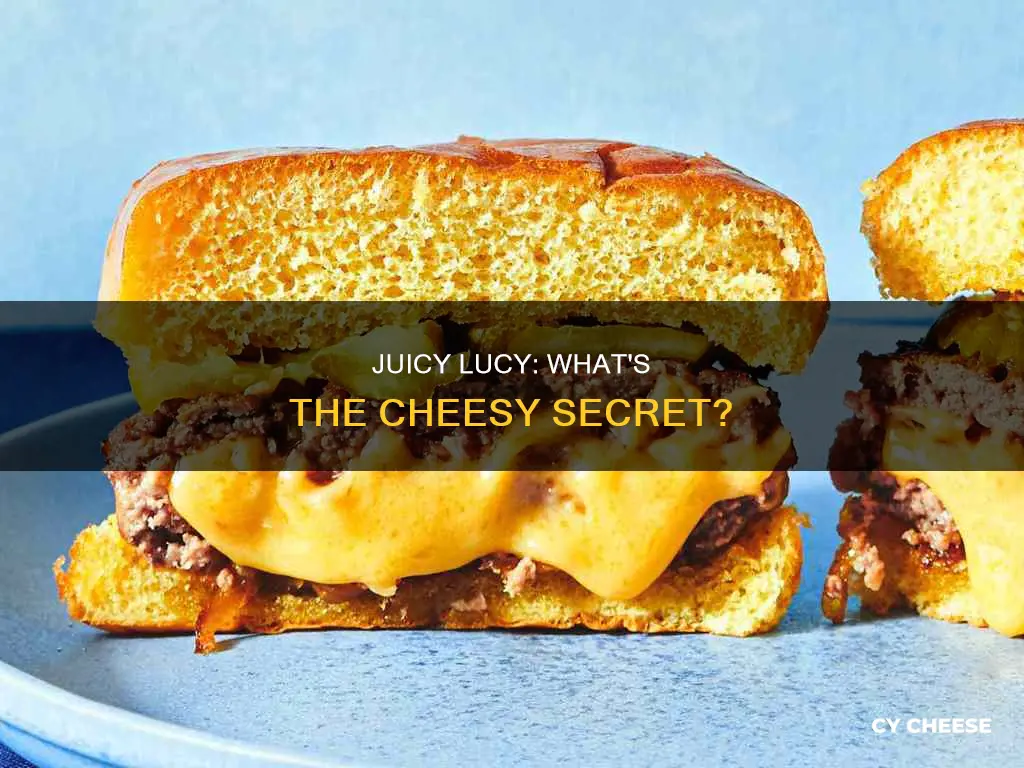 what kind of cheese is in a juicy lucy