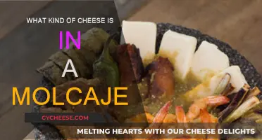 Cheese in a Molcajete: Exploring the Traditional Dish