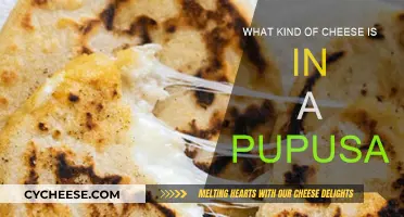 Cheese Choices: Pupusa's Perfect Filling