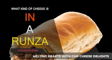 Runza's Cheese: What's the Secret Ingredient?