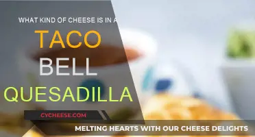 Tasty Quesadillas: Exploring Taco Bell's Cheese Choices