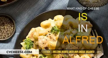 The Cheesy Truth Behind Alfredo Sauce's Flavor