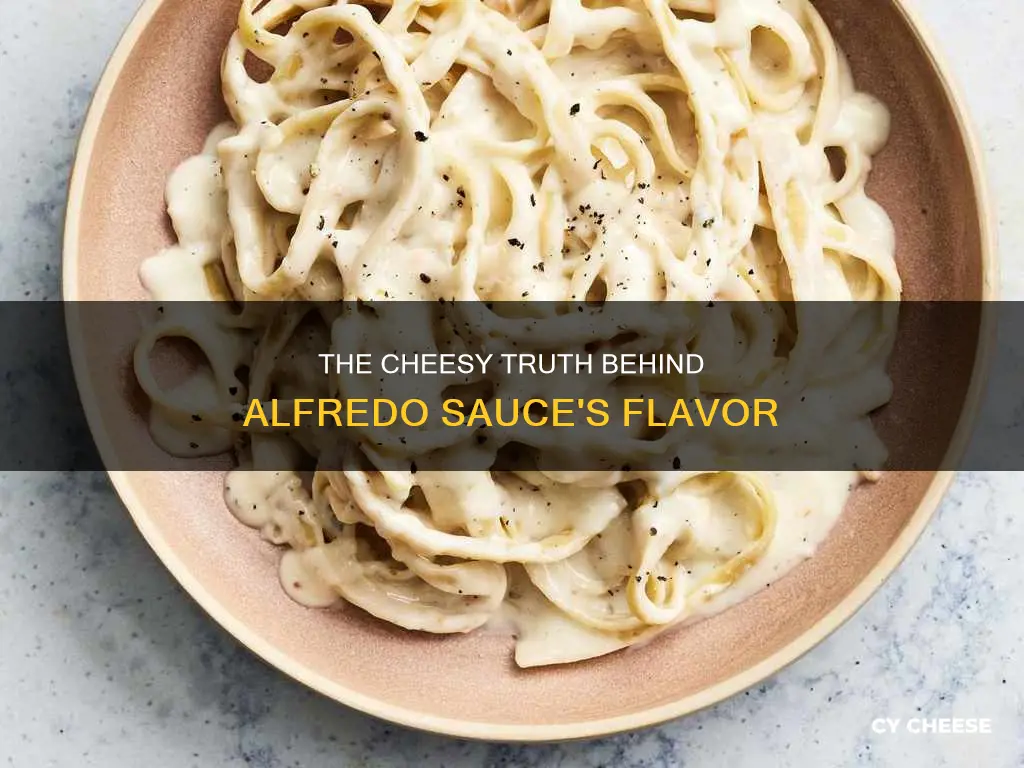 what kind of cheese is in alfredo