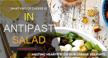 The Cheeses in Antipasto Salads: A Guide