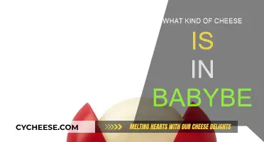 The Mystery of Babybel: Unwrapping the Cheese Inside