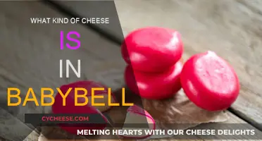 Babybel Cheese: A Delicious, Wax-Covered Cheese Snack