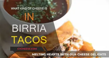 Birria Tacos: What's the Cheesy Secret?