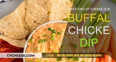 Cheese Types for Buffalo Chicken Dip: Know Before You Make