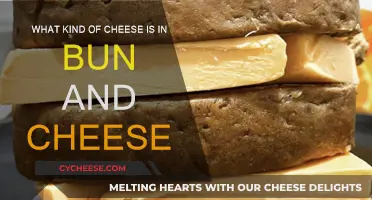 Bun and Cheese: Exploring the Cheesy Filling